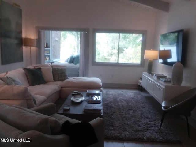683B Cedar Hill Rd, Flora, MS 39071 - living area with baseboards