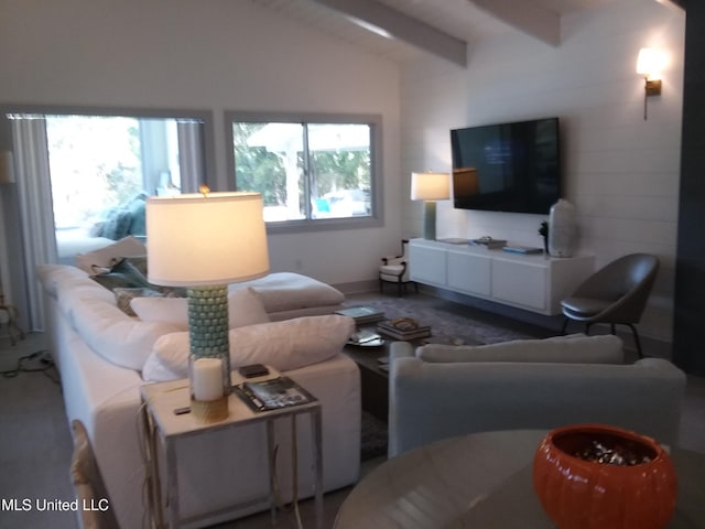 683B Cedar Hill Rd, Flora, MS 39071 - living room featuring carpet floors