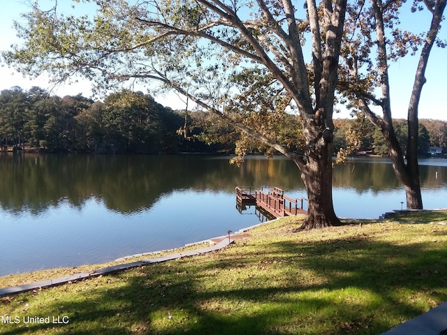 683B Cedar Hill Rd, Flora, MS 39071 - dock area featuring a water view and a lawn