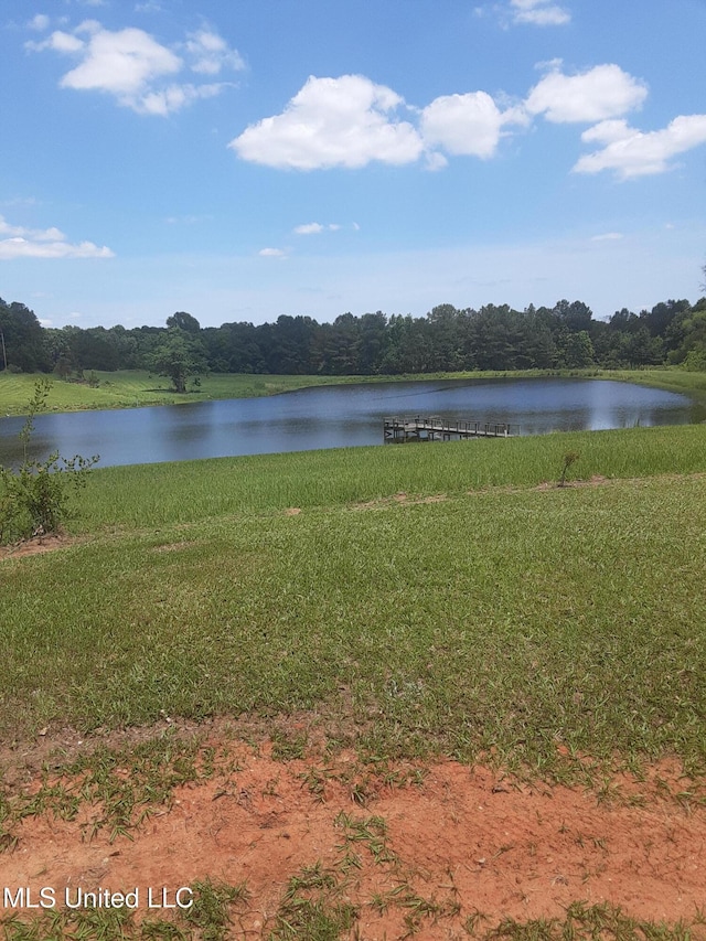 683B Cedar Hill Rd, Flora, MS 39071 - water view