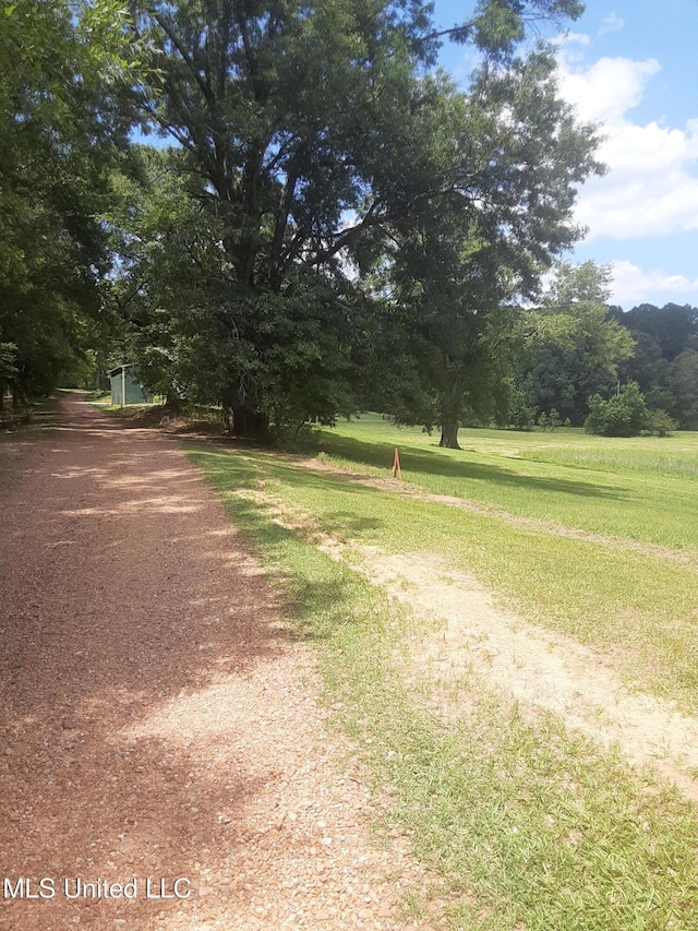 683B Cedar Hill Rd, Flora, MS 39071 - view of dirt / gravel road