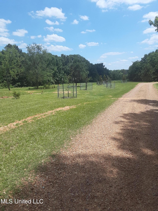 683B Cedar Hill Rd, Flora, MS 39071 - view of dirt / gravel road featuring a wooded view