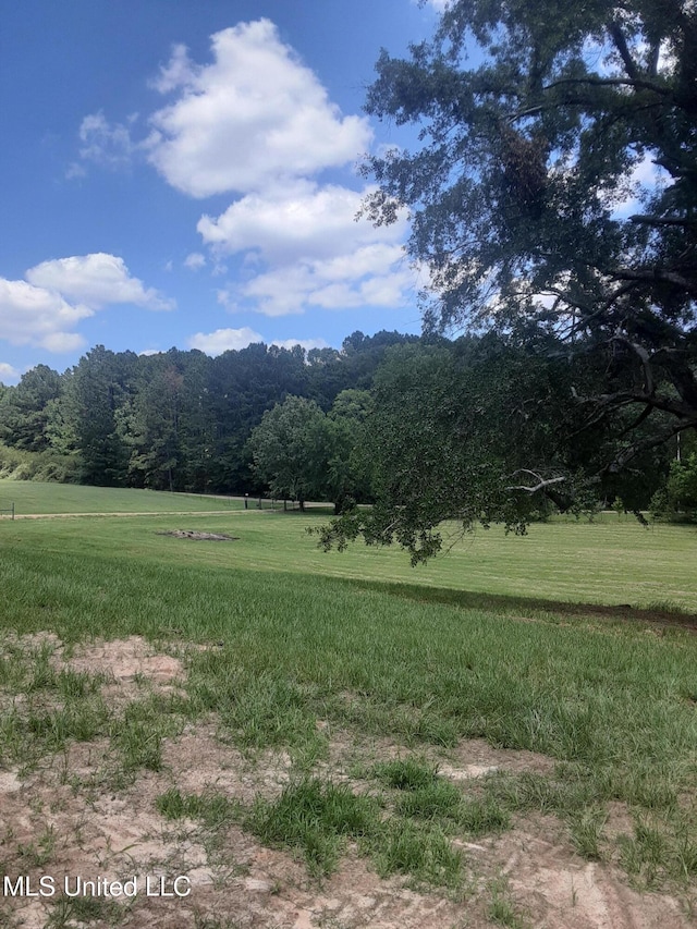 683B Cedar Hill Rd, Flora, MS 39071 - mountain view