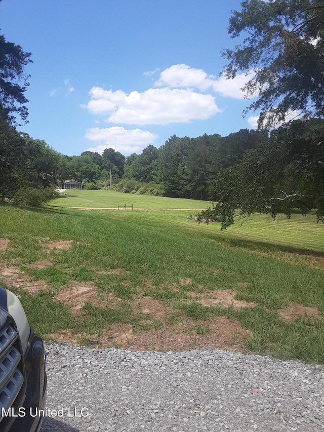 683B Cedar Hill Rd, Flora, MS 39071 - view of yard featuring a wooded view