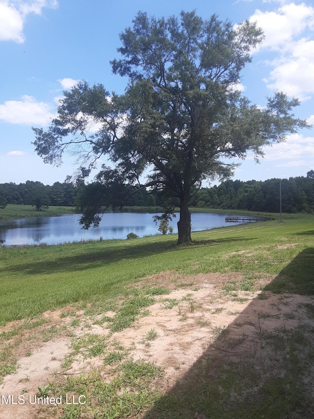 683B Cedar Hill Rd, Flora, MS 39071 - view of grassy yard with a water view and a forest view