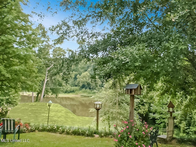 view of community with a water view and a lawn