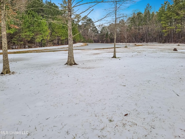 view of yard covered in snow