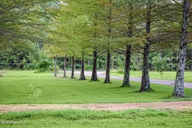 view of community featuring a yard