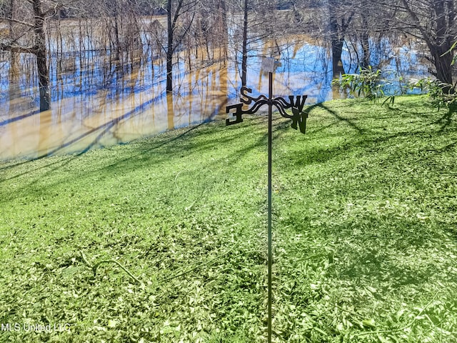 view of yard featuring a water view