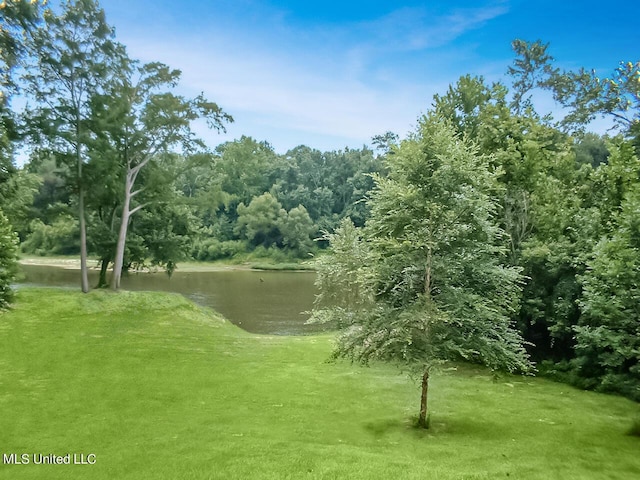 view of community with a yard and a water view