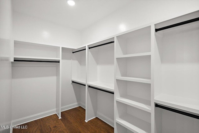 spacious closet with dark wood-type flooring