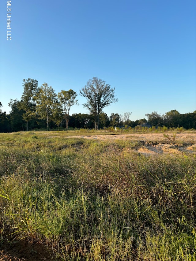 32 Pebble Ridge Dr, Byhalia, MS 38611