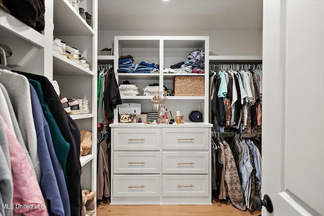 spacious closet with light wood-type flooring