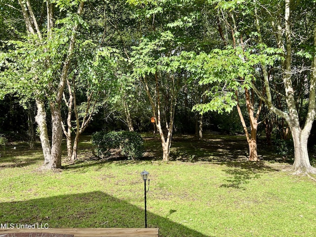 8004 Martin Bluff Rd, Gautier, MS 39553 - view of grassy yard