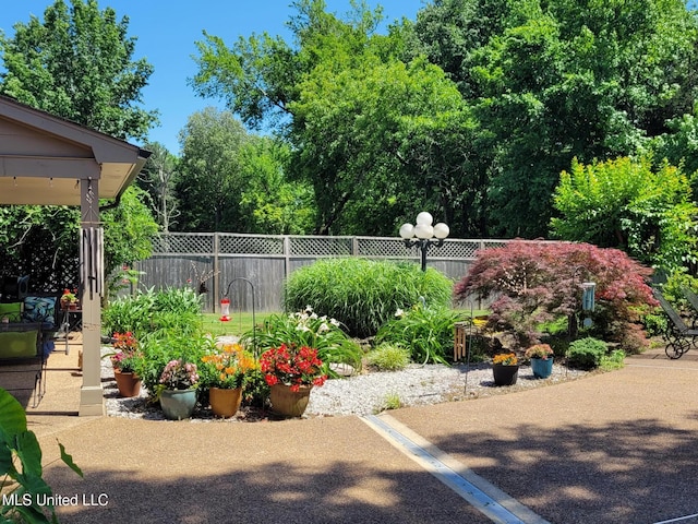 8475 Windersgate Dr, Olive Branch, MS 38654 - view of yard