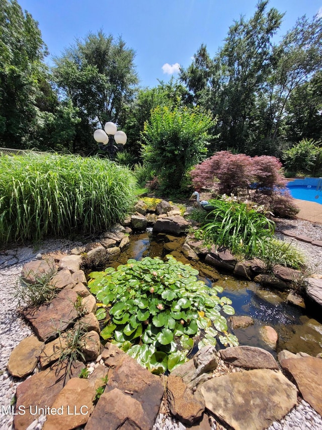 8475 Windersgate Dr, Olive Branch, MS 38654 - view of yard featuring a garden pond and an outdoor pool