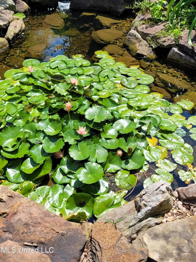 8475 Windersgate Dr, Olive Branch, MS 38654 - exterior view of a small pond