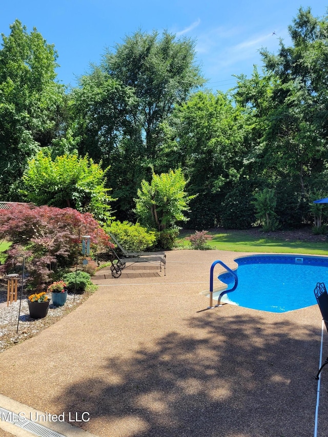 8475 Windersgate Dr, Olive Branch, MS 38654 - view of swimming pool
