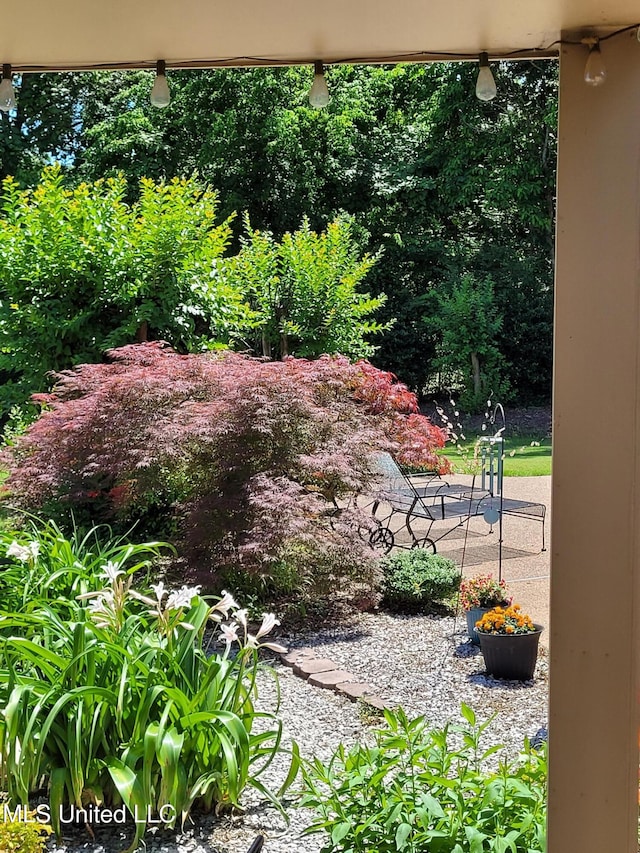 8475 Windersgate Dr, Olive Branch, MS 38654 - view of yard