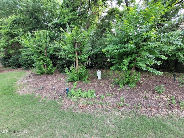 8475 Windersgate Dr, Olive Branch, MS 38654 - view of undeveloped land