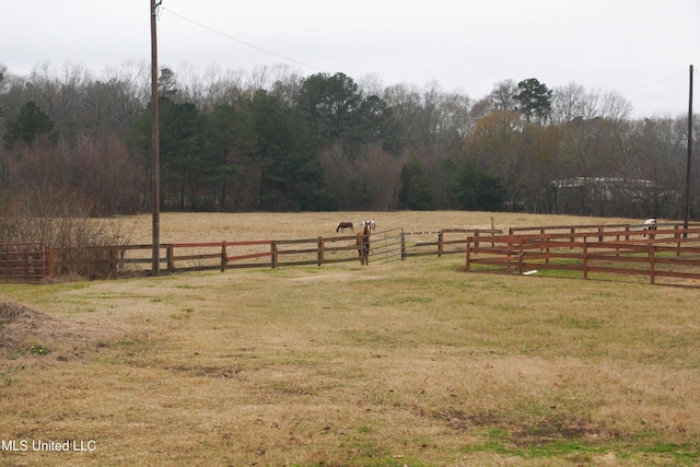 view of yard featuring a rural view