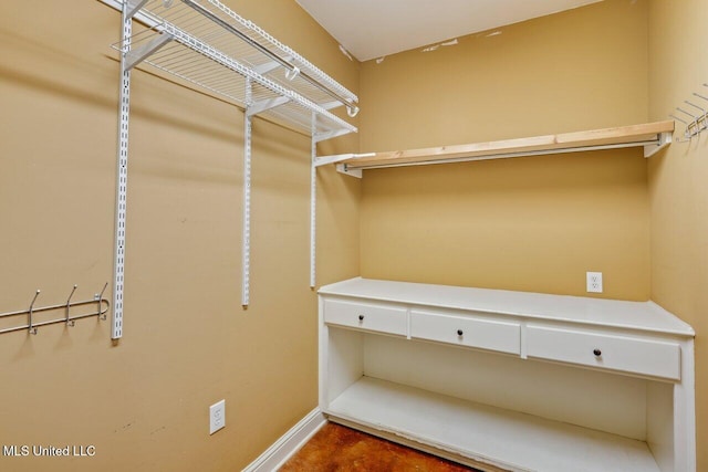 view of walk in closet