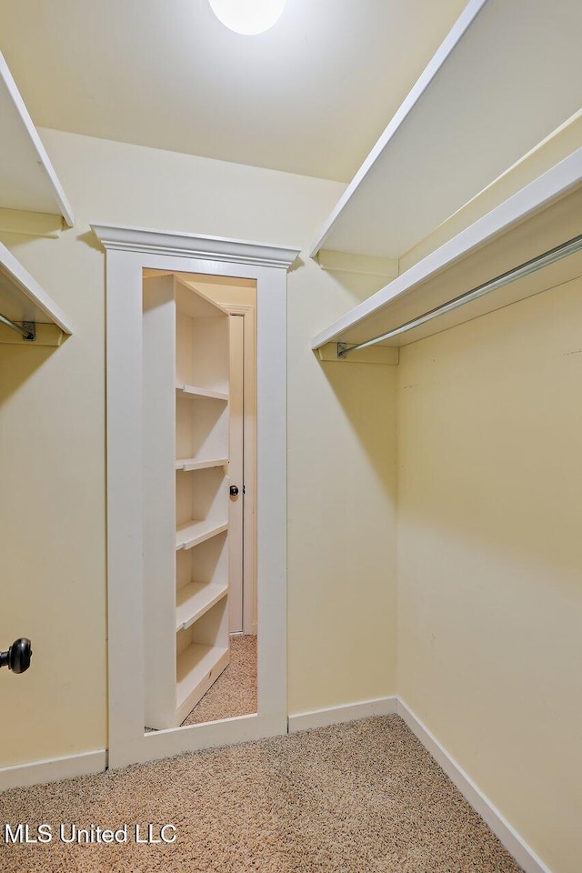 walk in closet featuring carpet