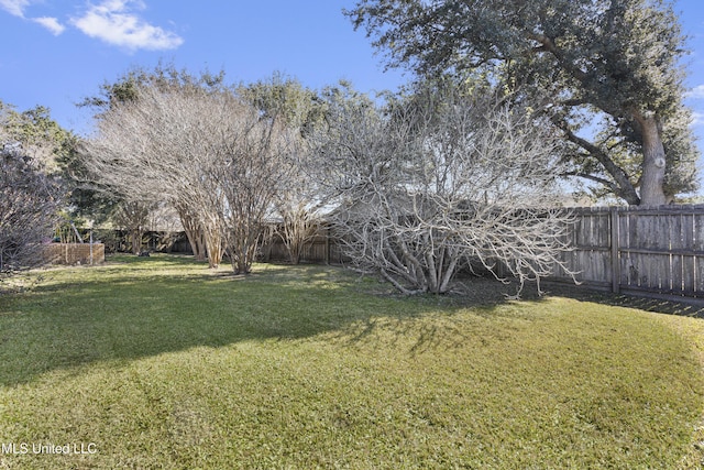 view of yard featuring a fenced backyard