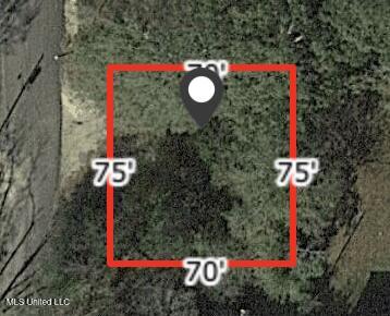 NE 2nd Ave, Magee MS, 39111 land for sale