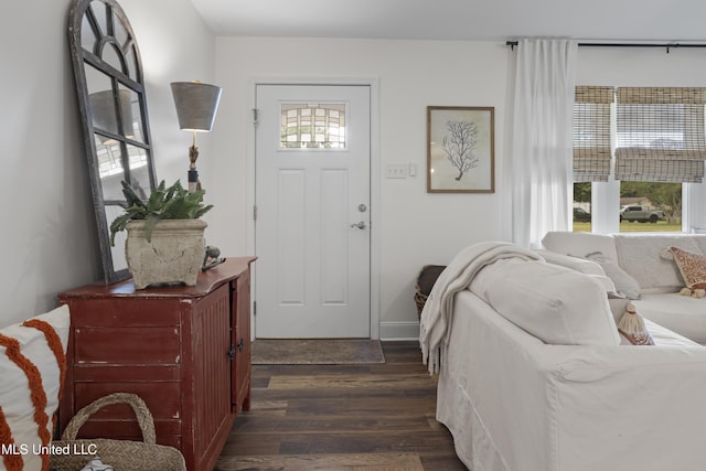 foyer entrance featuring dark wood-type flooring