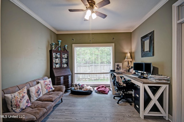 512 Sweetwater, Brandon, MS 39047 - home office with ornamental molding, a textured ceiling, ceiling fan, and wood finished floors