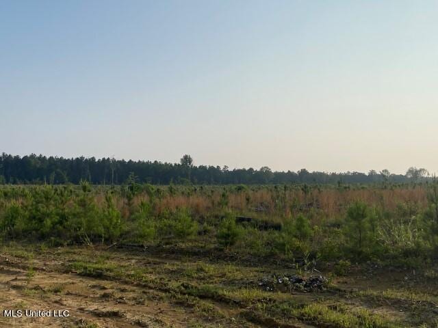 Barker Rd, Pelahatchie, MS 39145