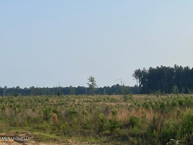 Barker Rd, Pelahatchie, MS 39145
