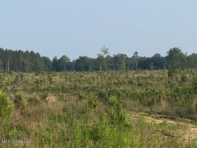 Barker Rd, Pelahatchie, MS 39145
