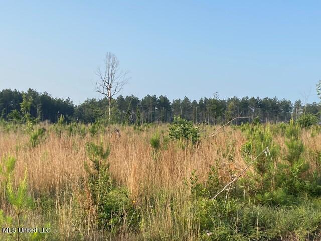 Barker Rd, Pelahatchie, MS 39145