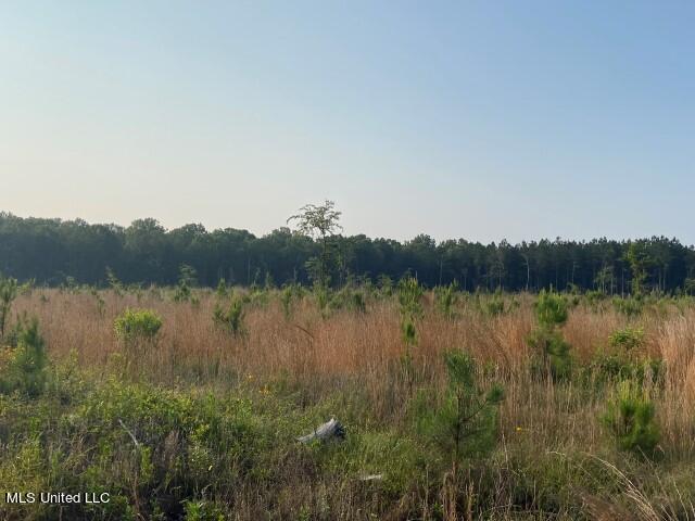 Barker Rd, Pelahatchie, MS 39145