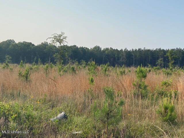 Barker Rd, Pelahatchie, MS 39145