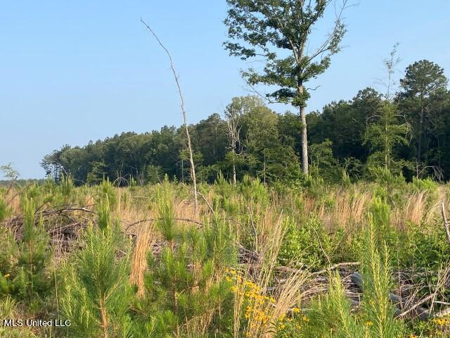 Barker Rd, Pelahatchie, MS 39145