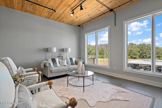 living room with concrete floors and wooden ceiling