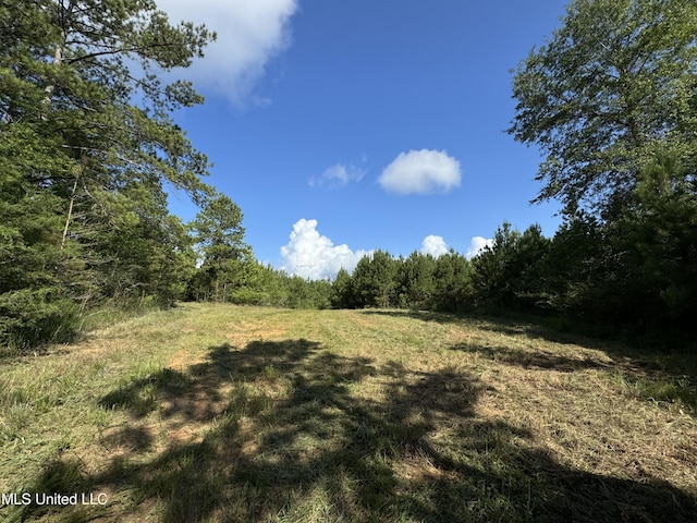 920B SW Auburn Dr, Bogue Chitto MS 39629 LAND for sale