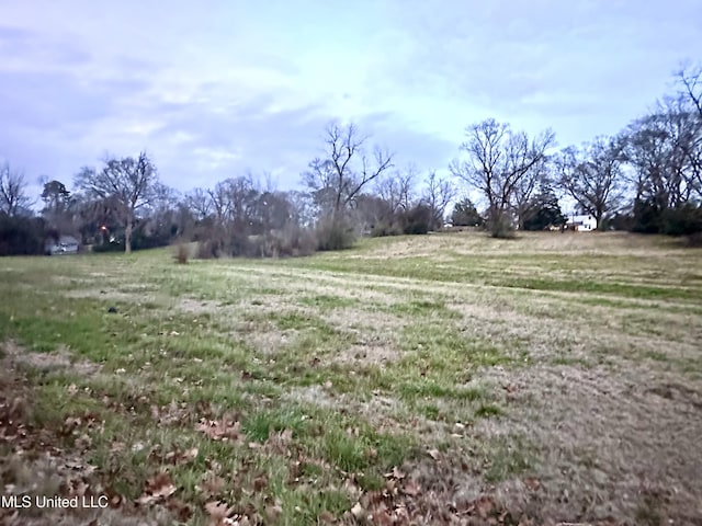 0 SW 4th Ave, Magee MS, 39111 land for sale