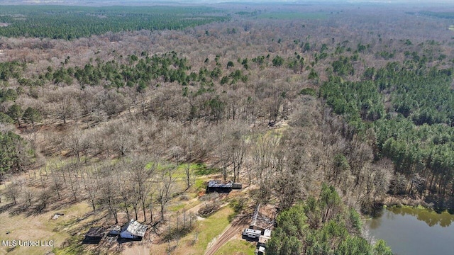 bird's eye view with a forest view