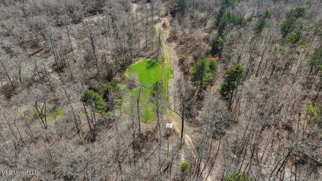 aerial view with a wooded view