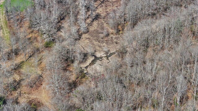 bird's eye view featuring a forest view