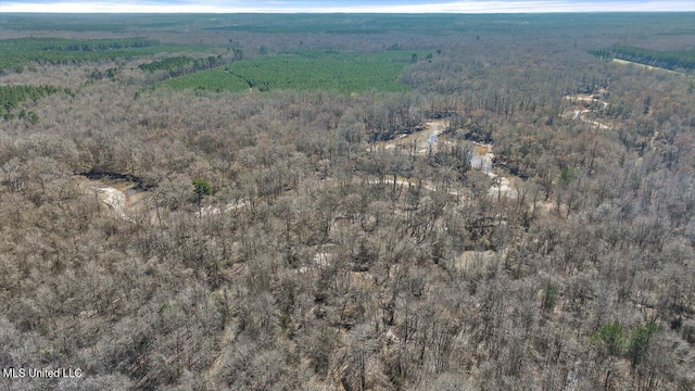 bird's eye view with a forest view