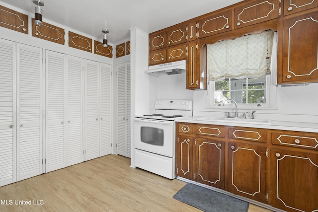 kitchen with light hardwood / wood-style floors, sink, and white range with electric stovetop