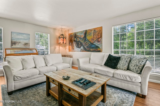 living room featuring a healthy amount of sunlight and hardwood / wood-style floors