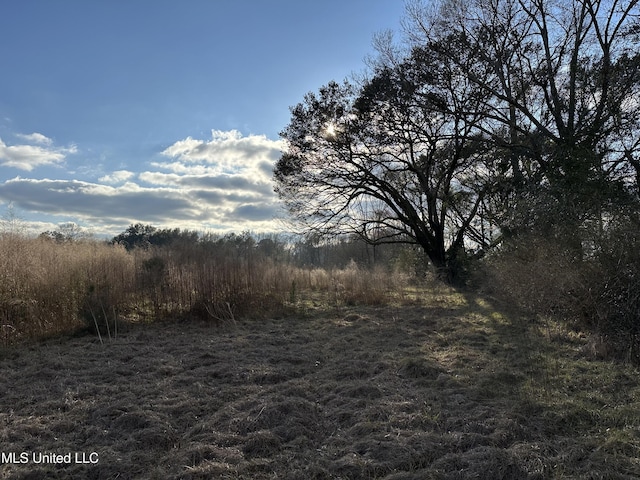 John Amacker Rd, Poplarville MS, 39470 land for sale