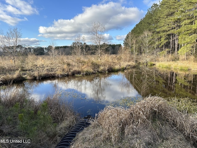 Listing photo 3 for John Amacker Rd, Poplarville MS 39470