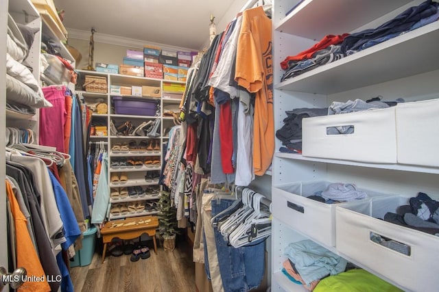 walk in closet featuring hardwood / wood-style floors